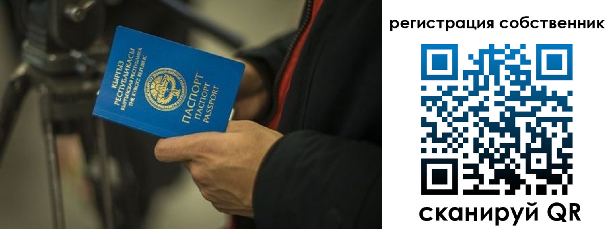 временная регистрация поиск в Новоаннинском
